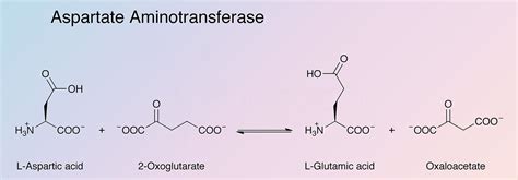 aspartame amino trans.